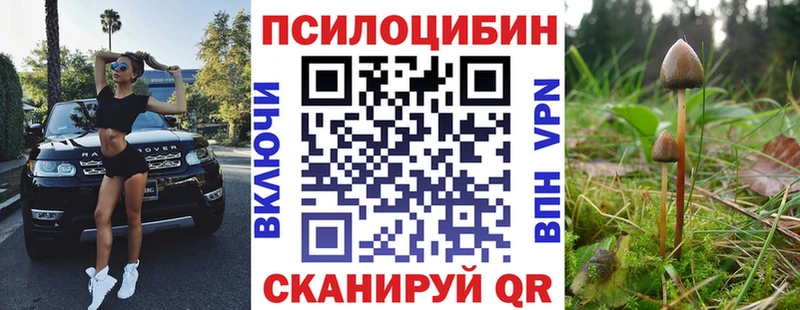 Псилоцибиновые грибы Psilocybine cubensis  где купить наркоту  ссылка на мегу ссылки  Астрахань 